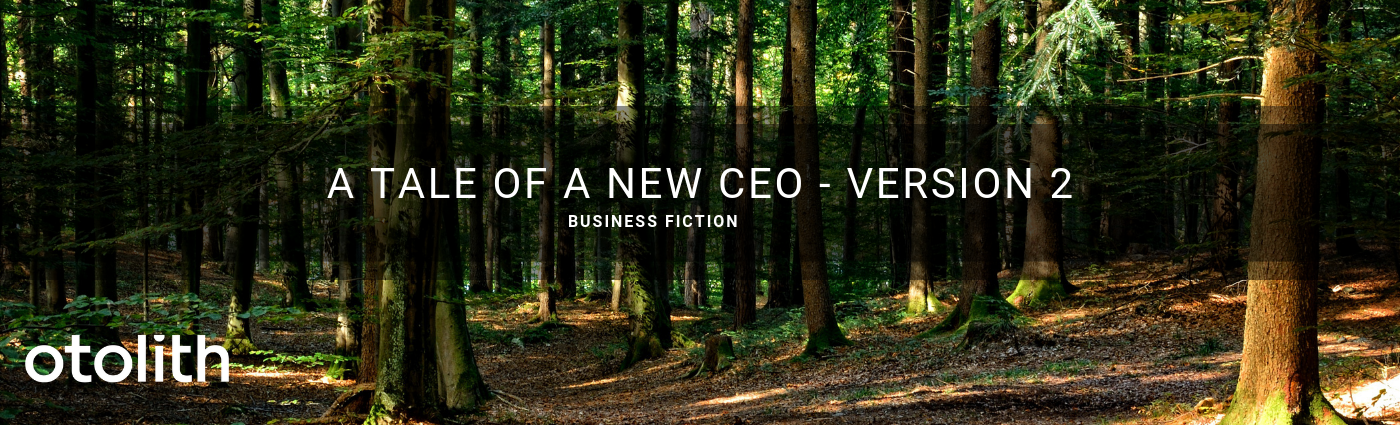 A Tale of a new CEO – version 2