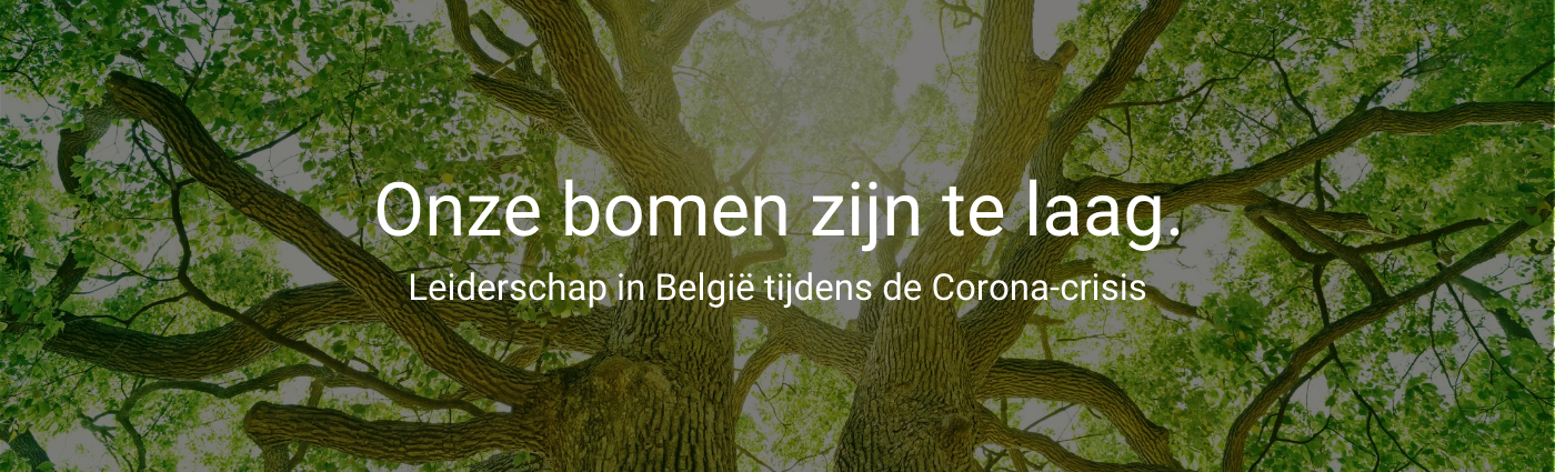 Onze bomen zijn te laag